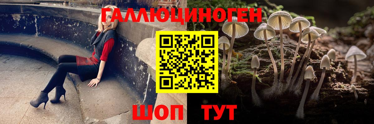 Комсомольск-на-Амуре  Псилоцибиновые грибы GOLDEN TEACHER  Псилоцибиновые грибы мицелий  Вход с VPN 